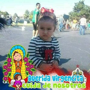 Meet your Posher, Veronica